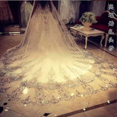 3.5 Meters Long Cathedral Train Wedding Veil Chic Lace Bridal Veil