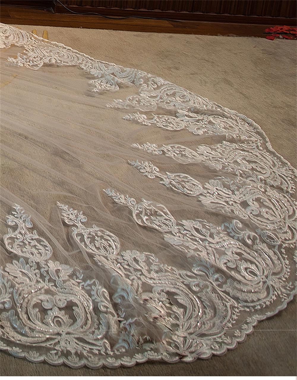 Romantic Long Bridal Veils Cathedral Length Lace Applique 4m Wedding